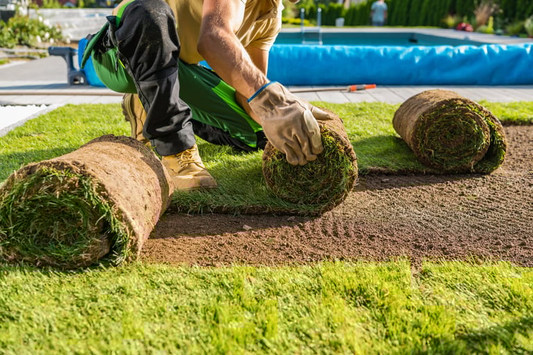 Professional turf installation in backyard garden
